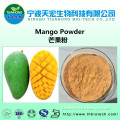 High quality mango powder/mango juice powder
